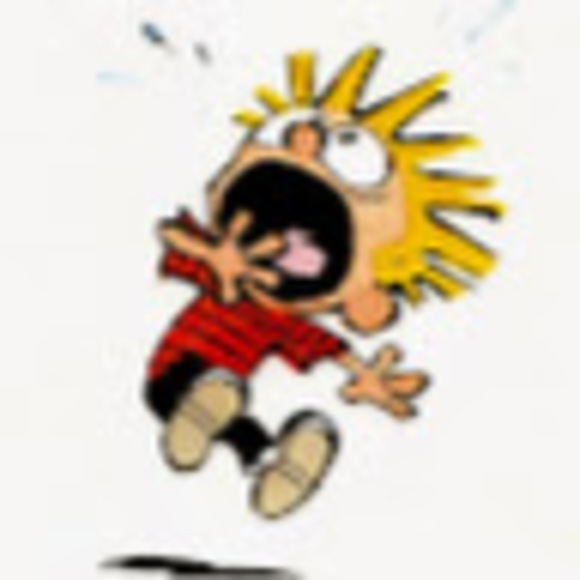 Meet your Posher, Ajay - Picture 1 of 1